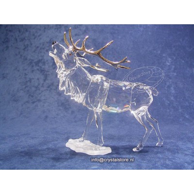 Stag