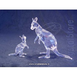 Kangaroo Mother with Baby