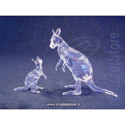 Kangaroo Mother with Baby