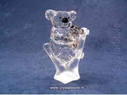 Koala Bears