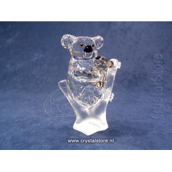  Koala Bears