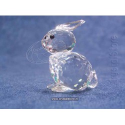 Rabbit mini sitting