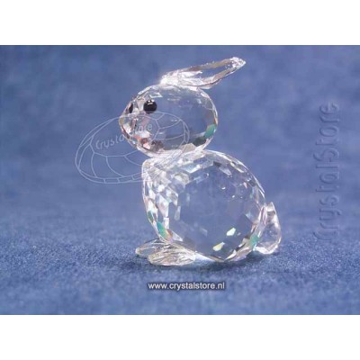 Rabbit mini sitting
