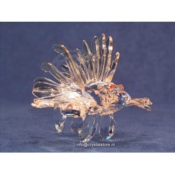 Lion Fish