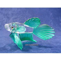 Siamese Fighting Fish (green)