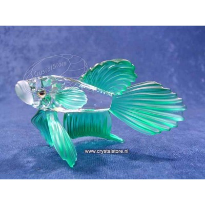 Siamese Fighting Fish (green)