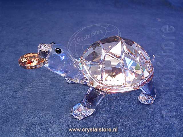 Tortoise
