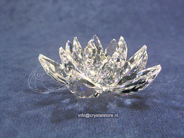 Waterlily Small