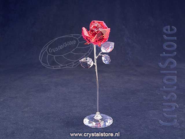 Flower Dreams Large Red Rose