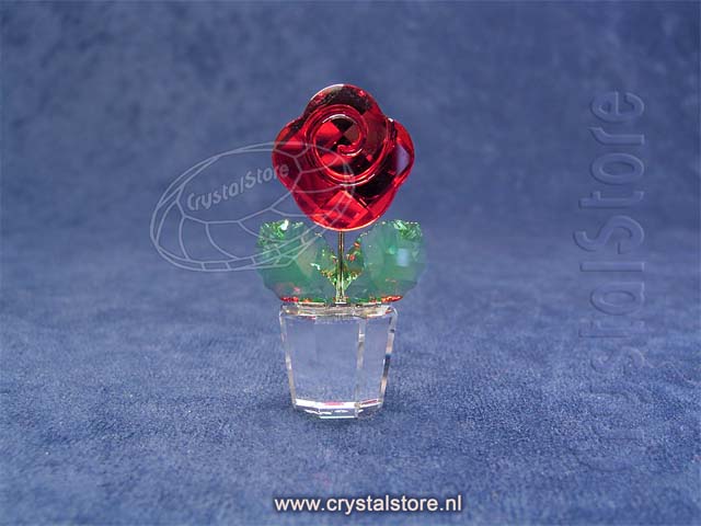 Red Rose 