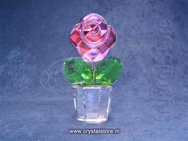Rose Pink -Medium