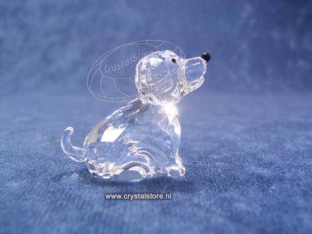 Zodiac Hond