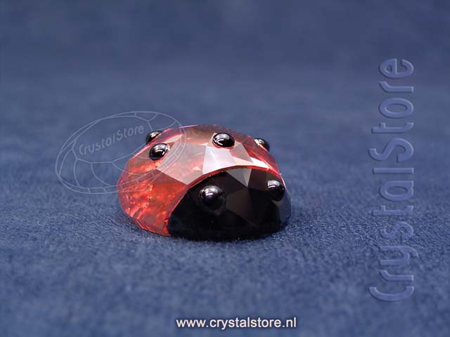 Lucky Lady Bird