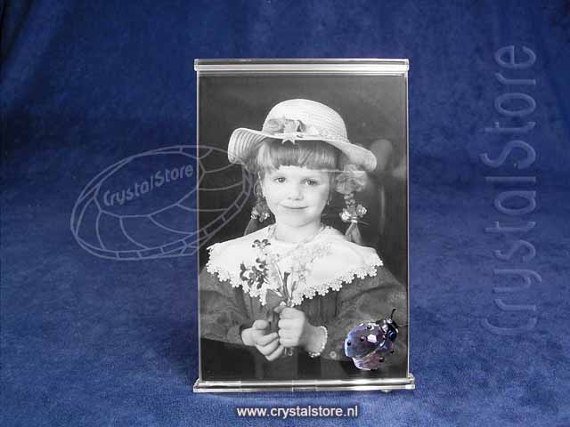 Picture Frame with Ladybird