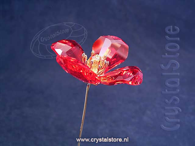 Garden Tales Red Poppy