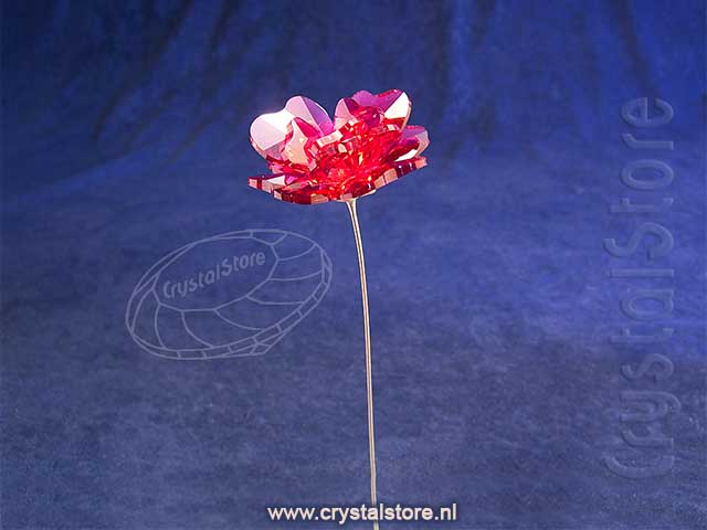 Garden Tales Rose