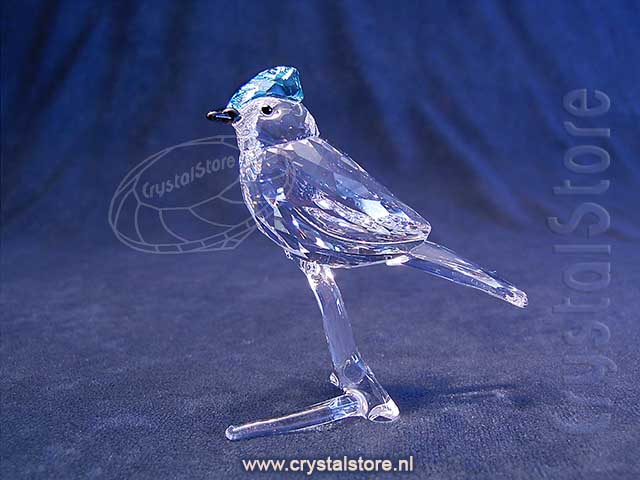 Blue Jay