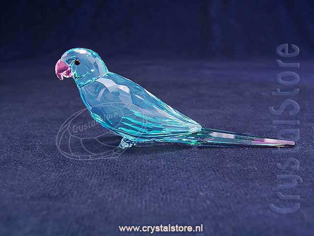 Jungle Beats Blue Parakeet Paco