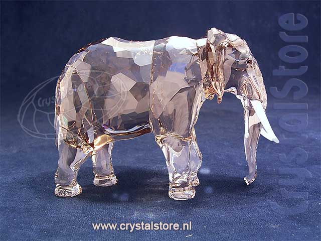 SCS Annual Edition 2022 Elephant Fayola