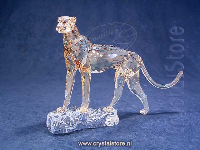 SCS - Annual Edition 2023 - Cheetah Mehira