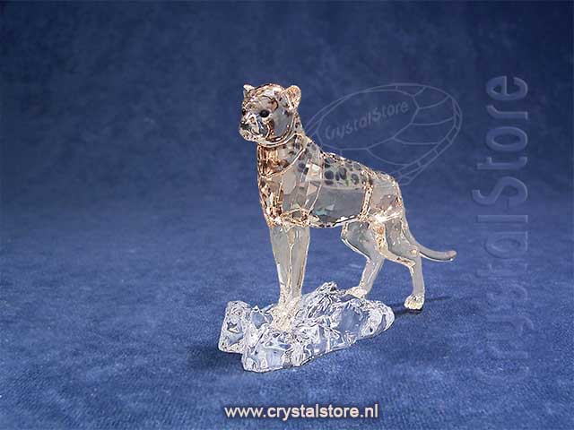 SCS - 2023 - Cheetah Baby Jabari