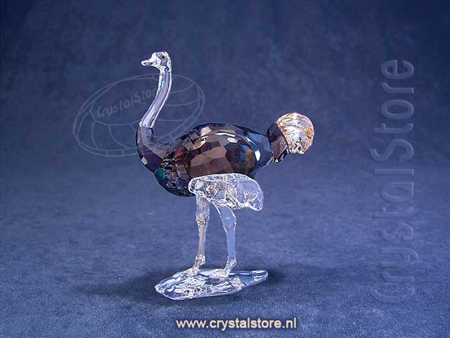Elegance of Africa SCS Ostrich Makena
