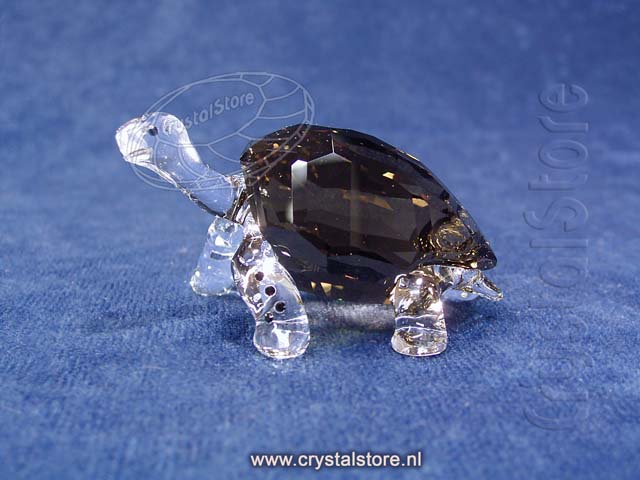 SCS Galapagos Tortoise 