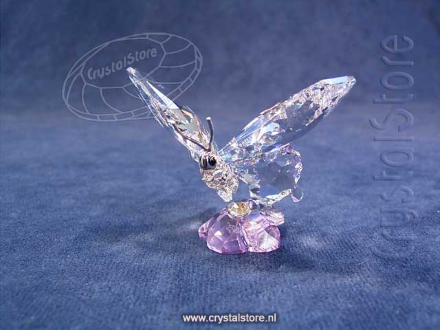 SCS Butterfly (Event Piece 2013)