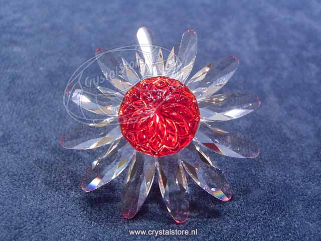 Margriet rood