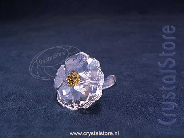 SCS Wild Flower