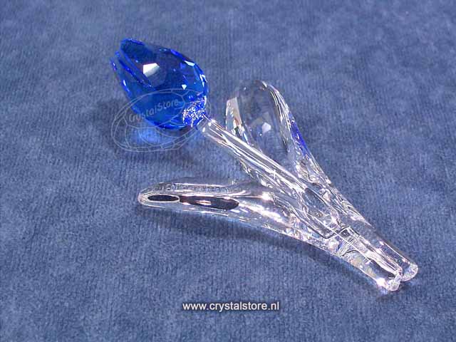 Tulp blauw 