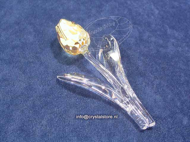 Tulip yellow