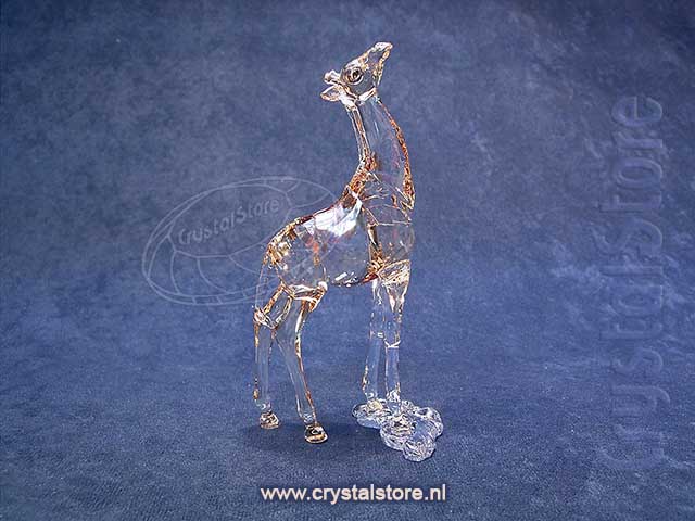 SCS - Giraffe Baby