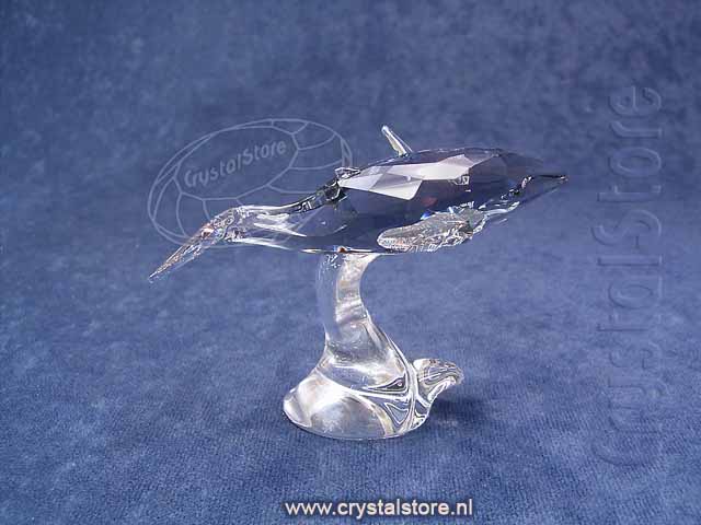 SCS  Young Whale