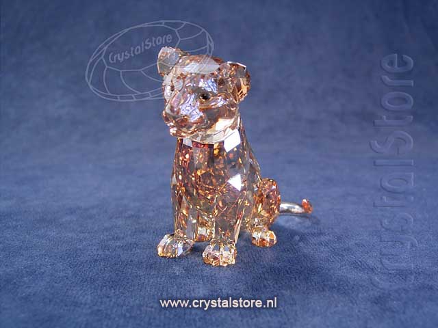 SCS Lion Cub