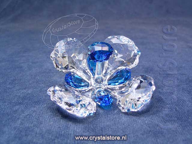 SCS - Peacock Flower