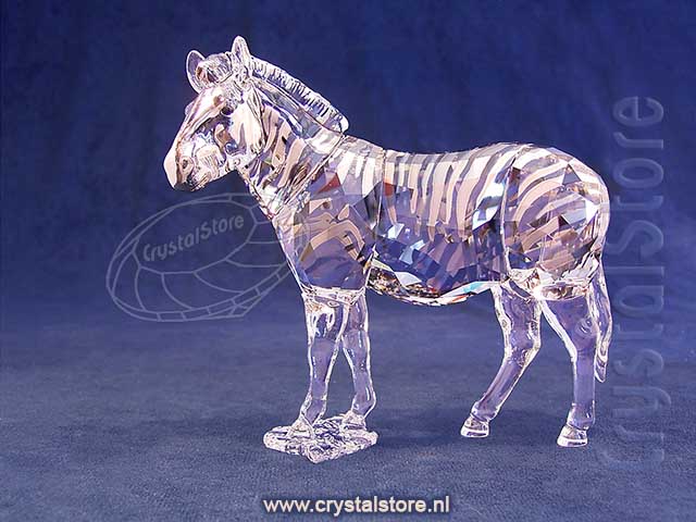 SCS Annual Edition 2021 Zebra Amai