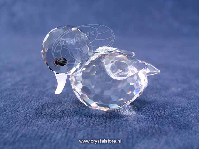 Duck mini Swimming
