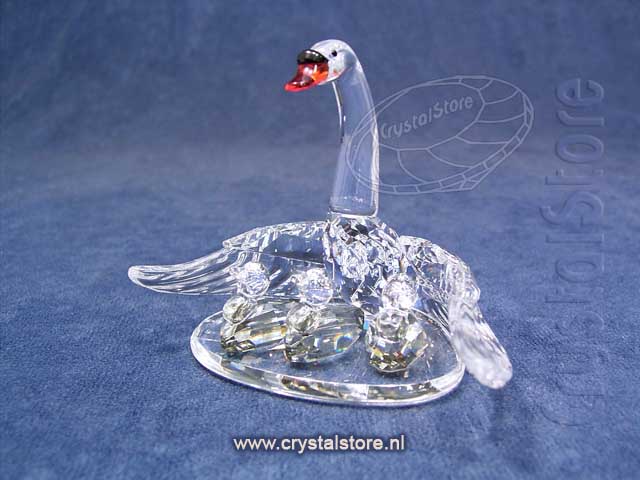 Swan Family