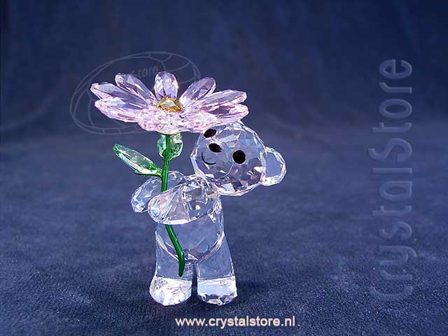 Kris Bear a Daisy for you