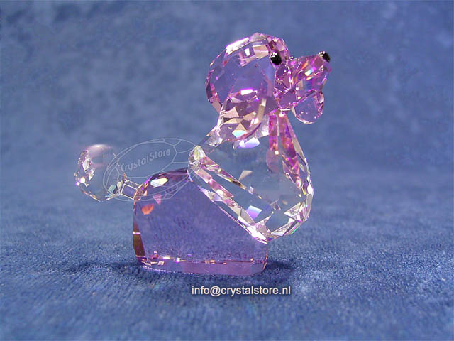 Violetta 