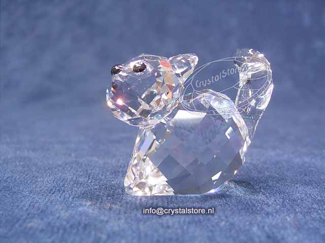 Lil of Bling 