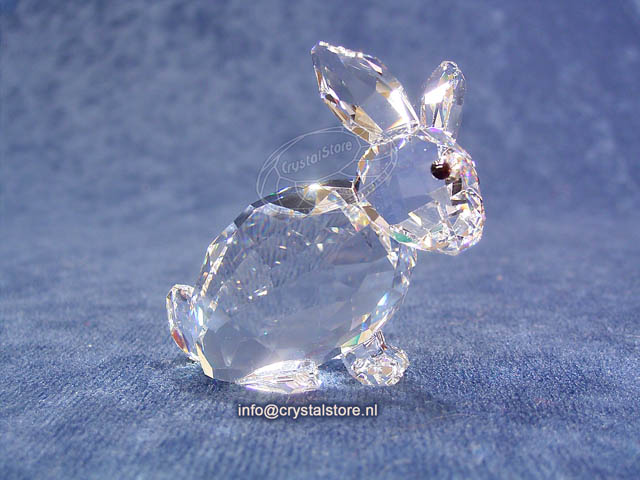 Rabbit Sitting