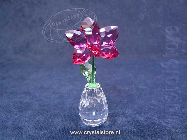 Bloemendromen - Orchidee (5254318)