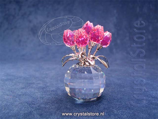 Rose tulpen 