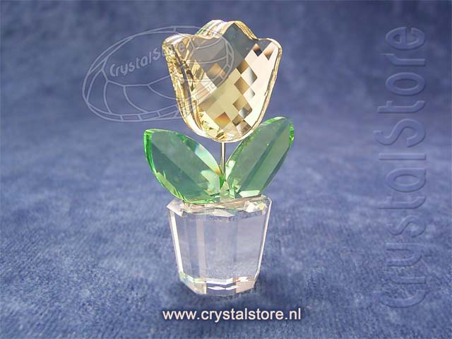 Tulp Geel