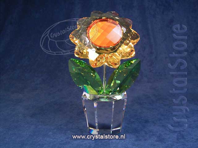 Zonnebloem Groot