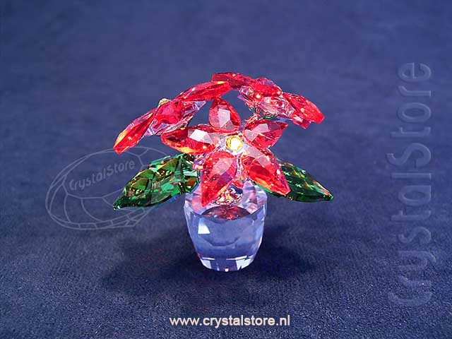 Poinsettia - Kerstster