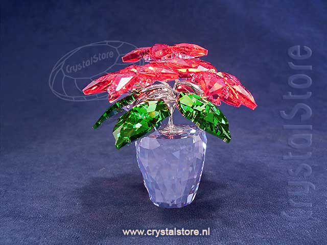 Poinsettia Groot (2017)