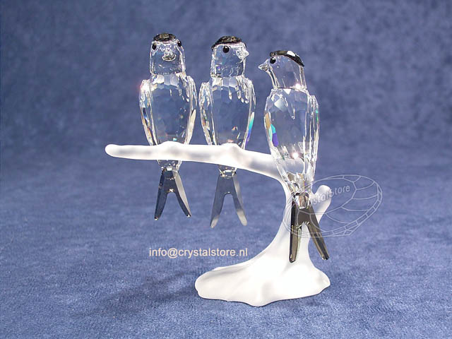 Swallows (2007 issue) Swallows (2007 issue)